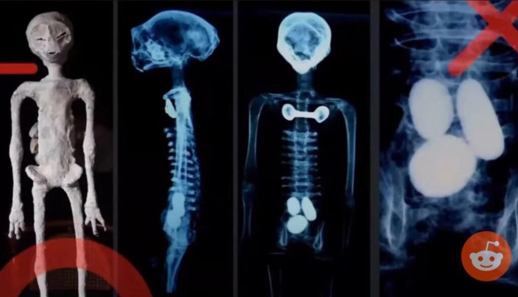 How does the Mexico aliens have eggs without sexual organs?