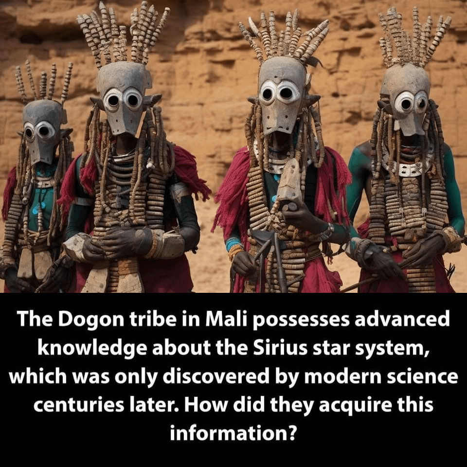 The Dogon tribe in Mali possesses advanced knowledge about the Sirius star system, which was only discovered by modern science centuries later. How did they acquire this information?