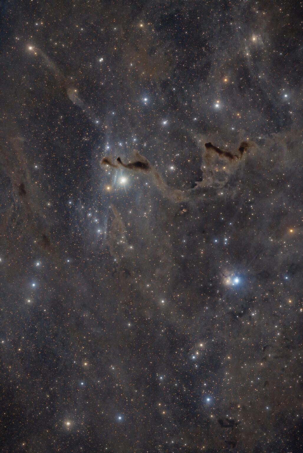 The Helping Hand Nebula