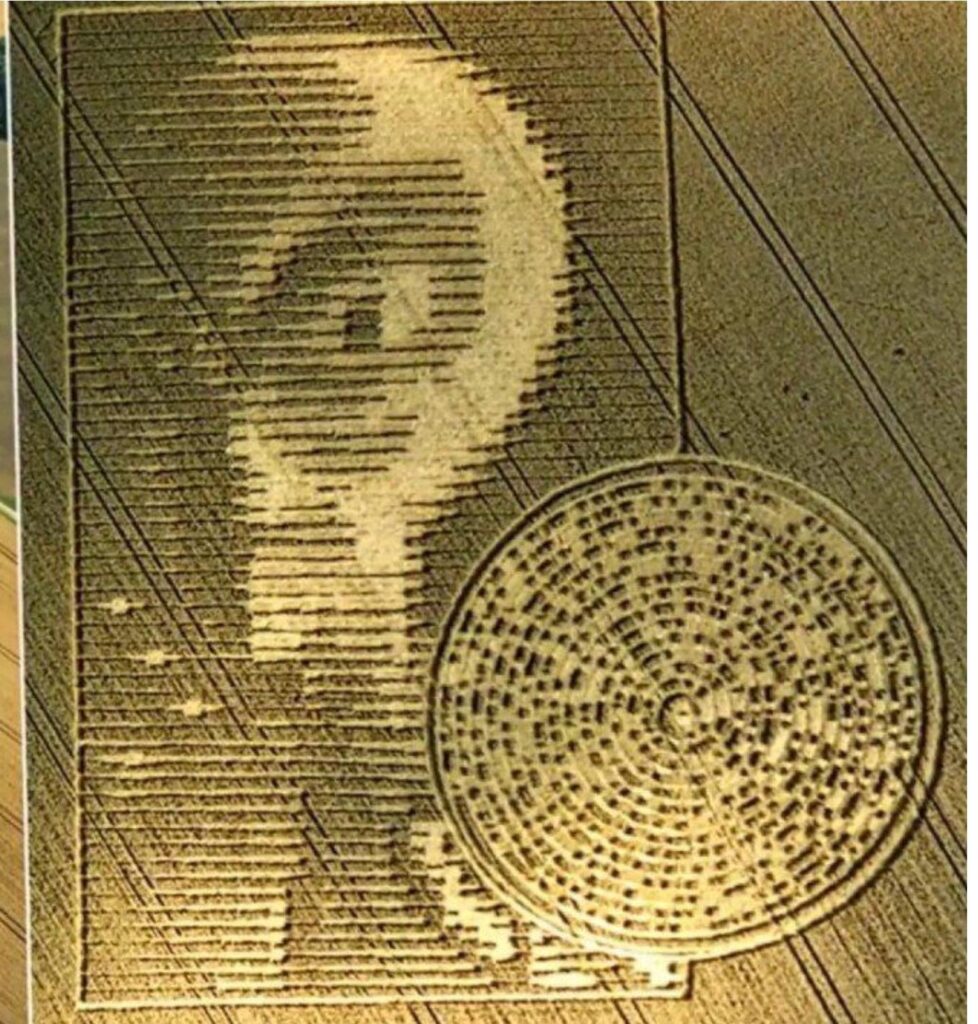 Binary Code & Extraterrestrial Face