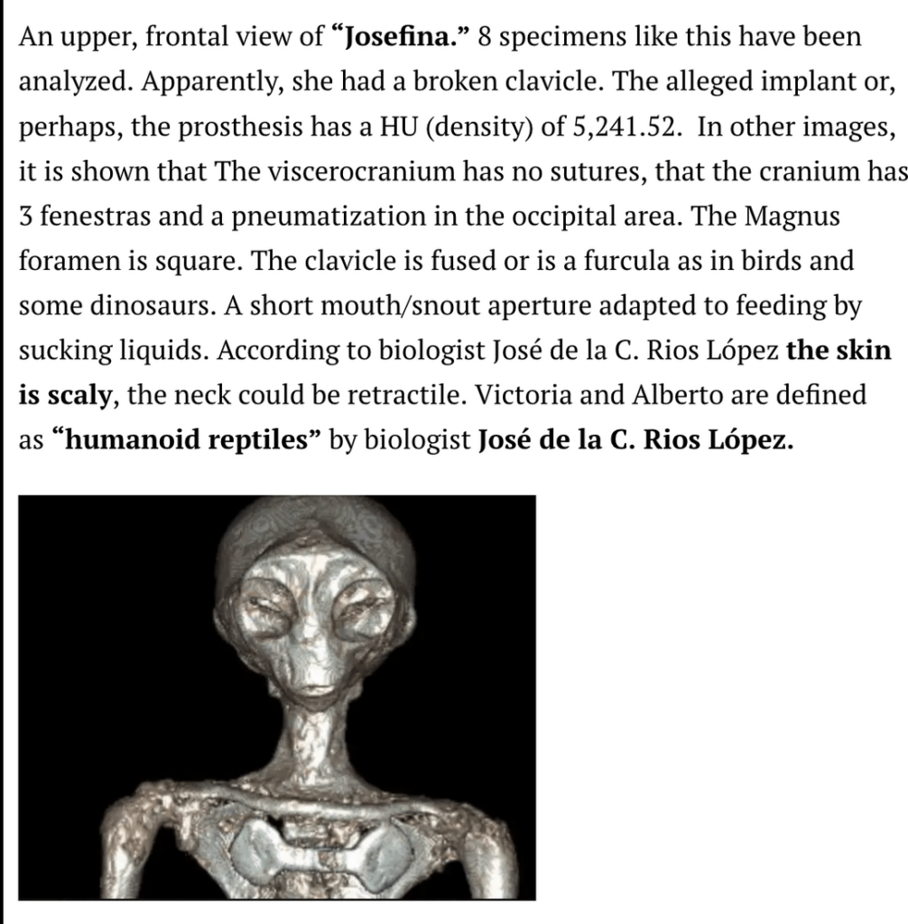 Scans of Peruvian mummy with muscular, skeletal, embryonic details