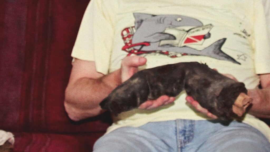 Relics of Bir Hooker Finger of a Giant from Egypt (1988)