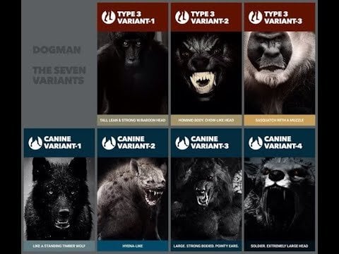 The 7 Types Of Dogman