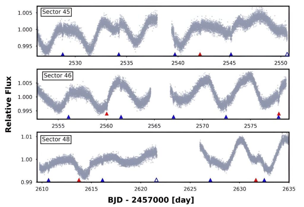 Two Neptune-sized exoplanets discovered with TESS