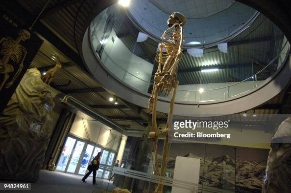 The "Giants of Ecuador" are fakes