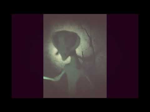 Very interesting footage from Nazca caves