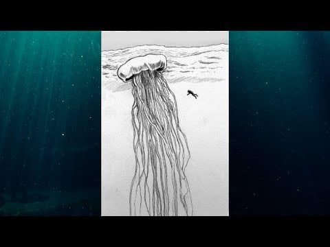 Why Giant Jellyfish Are The Most TERRIFYING Cryptid