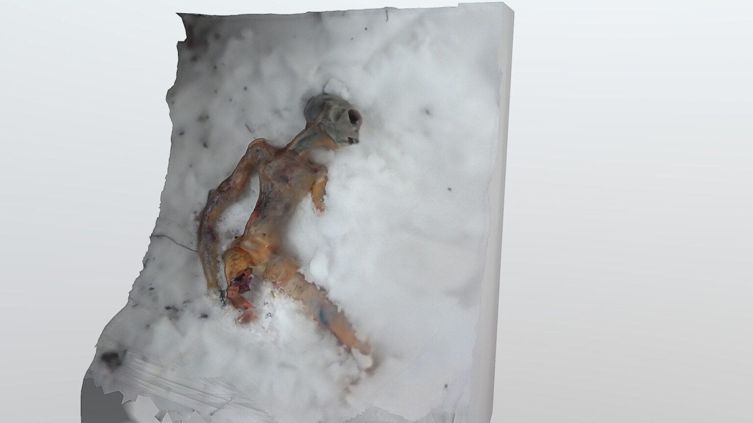 RUSSIAN ALIEN FOUND IN SNOW - 3D model by s10520458 [d5402b8]