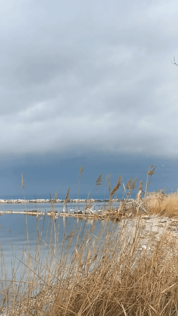 Is this how the face peelers are getting around in Peru?