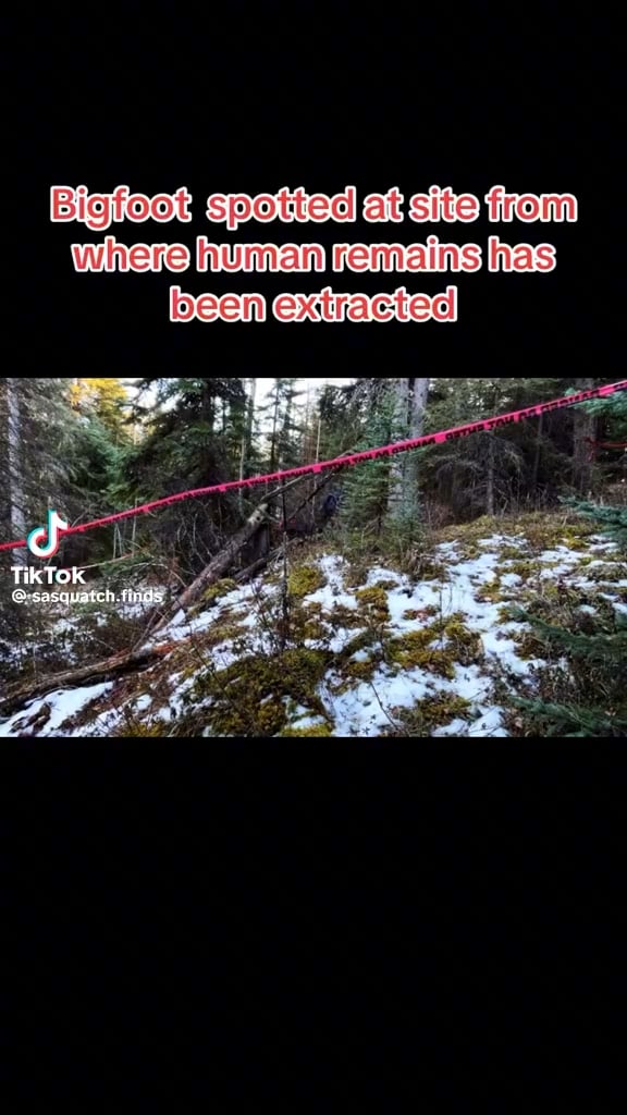 Bigfoot Smashes Tree after human remains are removed