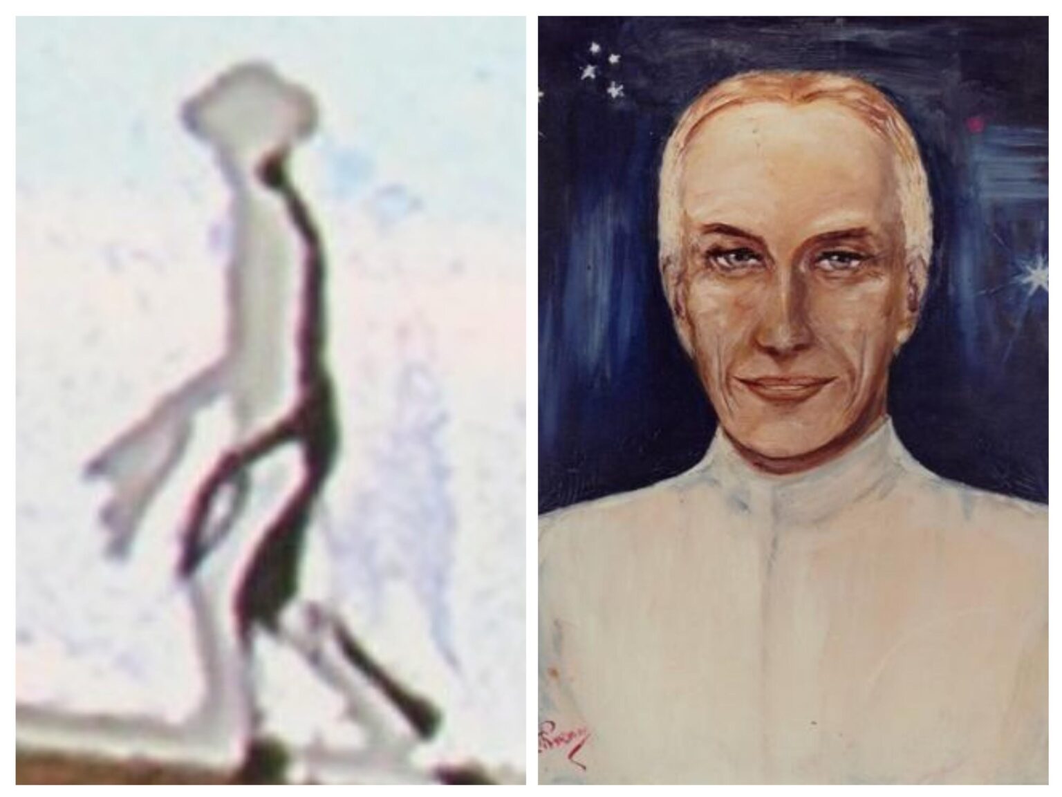 It is known that there are 2 species aliens in proxima centauri