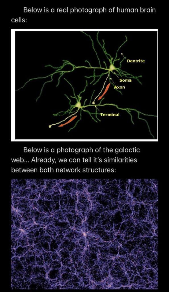 Take a refreshing dive into the cosmic web theory of consciousness. Perhaps another step into understanding the phenomenon.