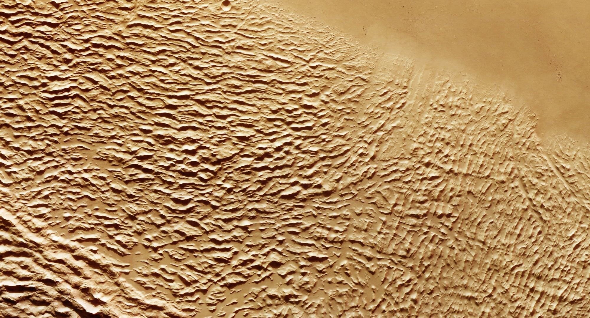 Planetary size and associated cooling rate may explain why mars died