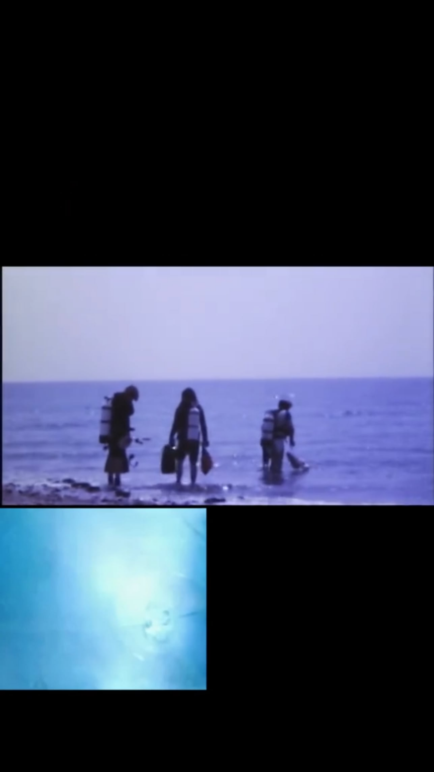 Did Ron Wyatt Discover The Red Sea Crossing?