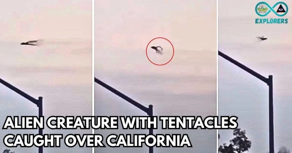 “Alien with Tentacles” Filmed in the Skies Over California