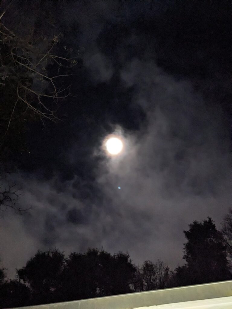 Anybody in North Florida see this tonight?