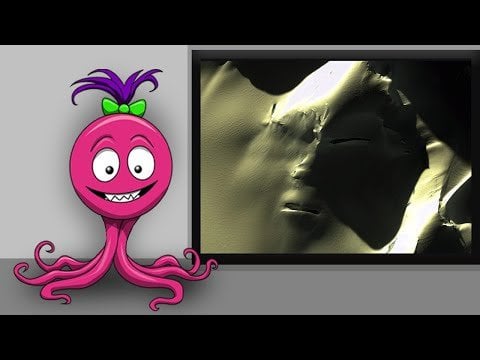 Alien Face in Antarctica