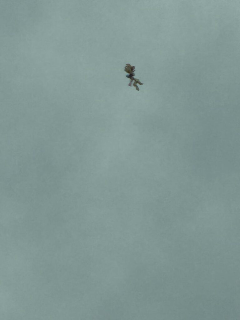 Weird Object In Sky