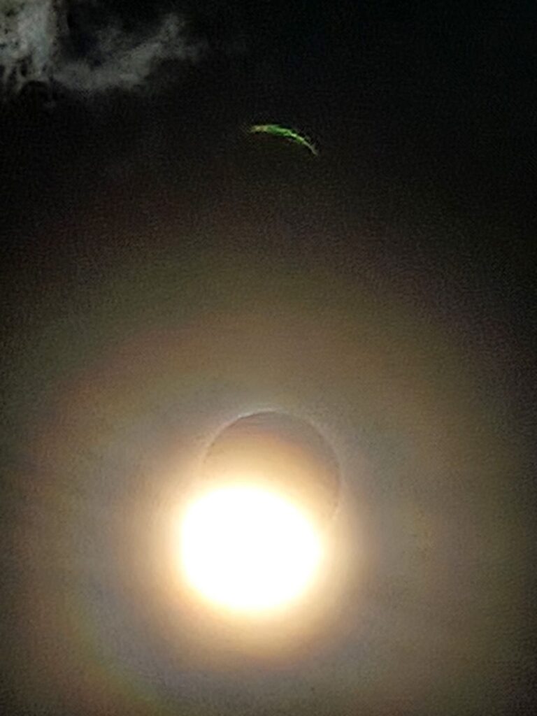 What is the green semi circle in these images of the solar eclipse