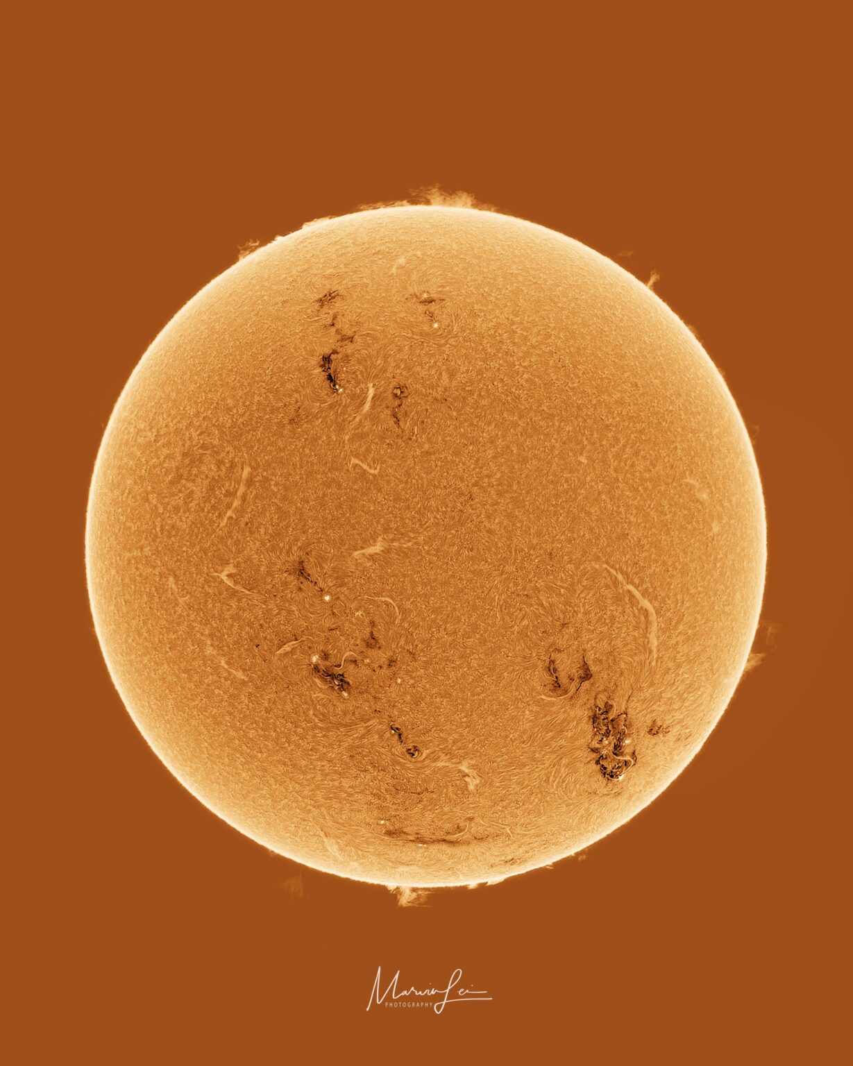 The sun’s chromosphere  from earlier this week taken with my solar telescope