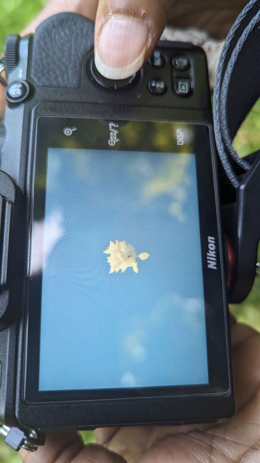 Strange flying object spotted over central park