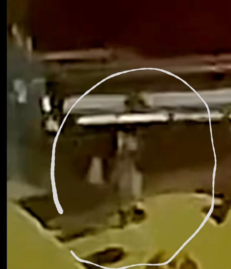 Las Vegas Alien taking pictures of humans