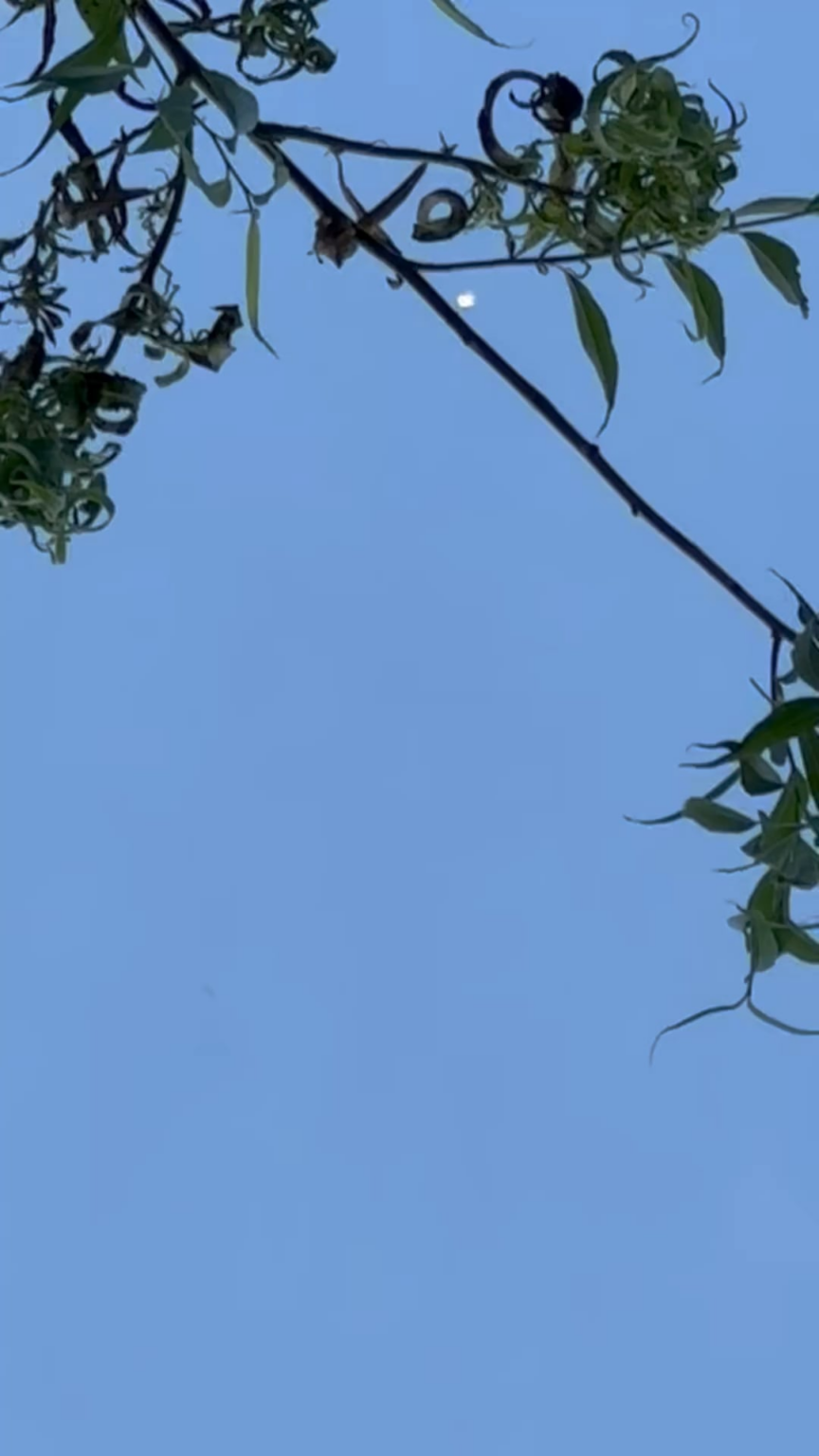 Is that a weather baloon ?