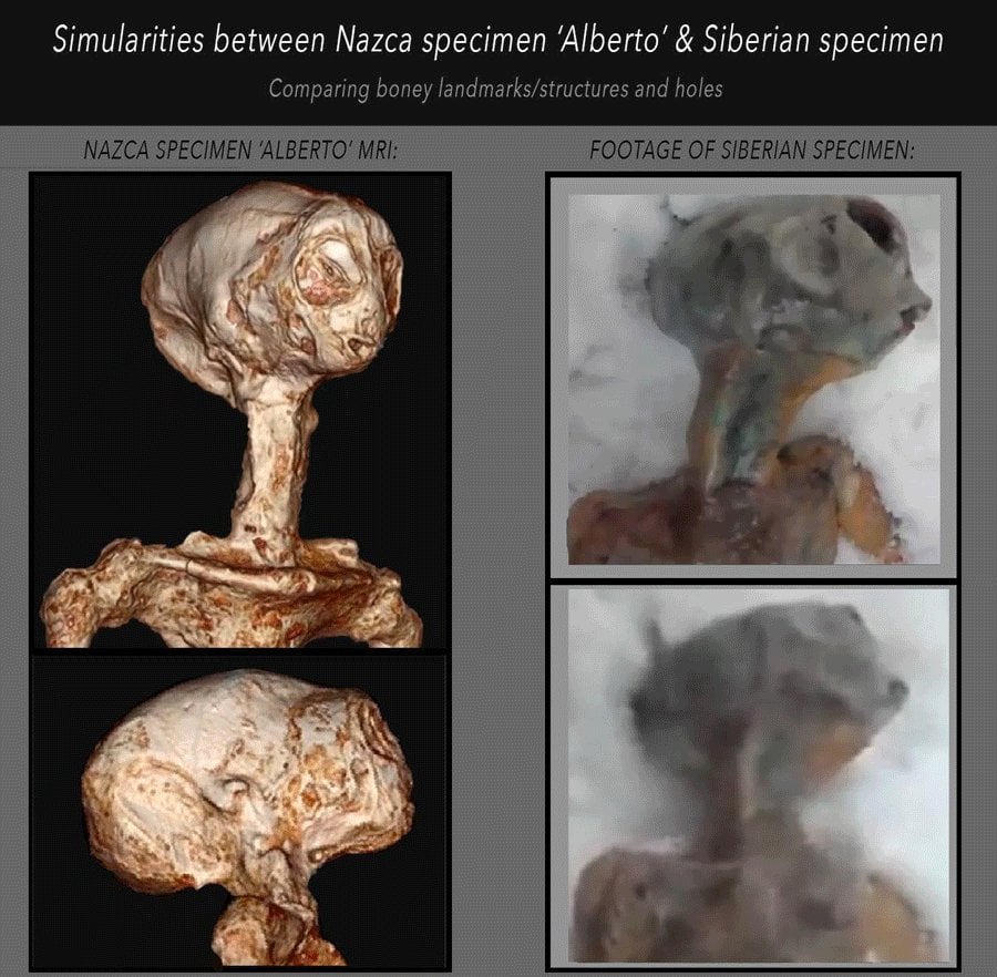 Russian space alien that believe to crashed in 2011 in comparison to the nazca mummies (2016)