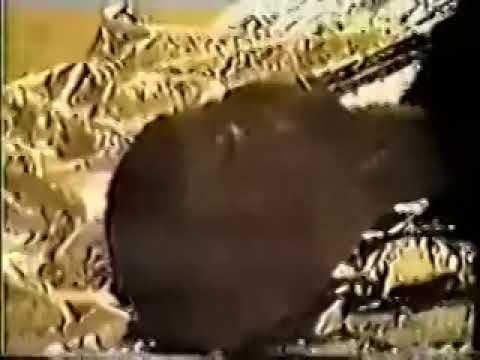 UFO Encounter And Injured Alien Examined By Dr. Jonathan Reed – UFO FEED