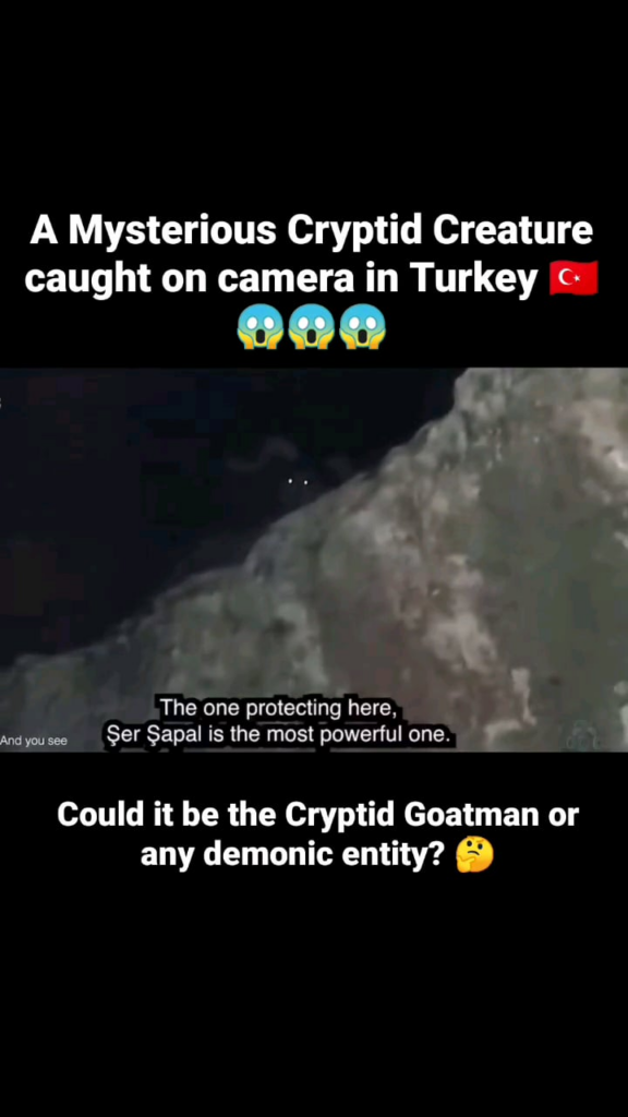 A Mysterious Cryptid Creature caught on camera