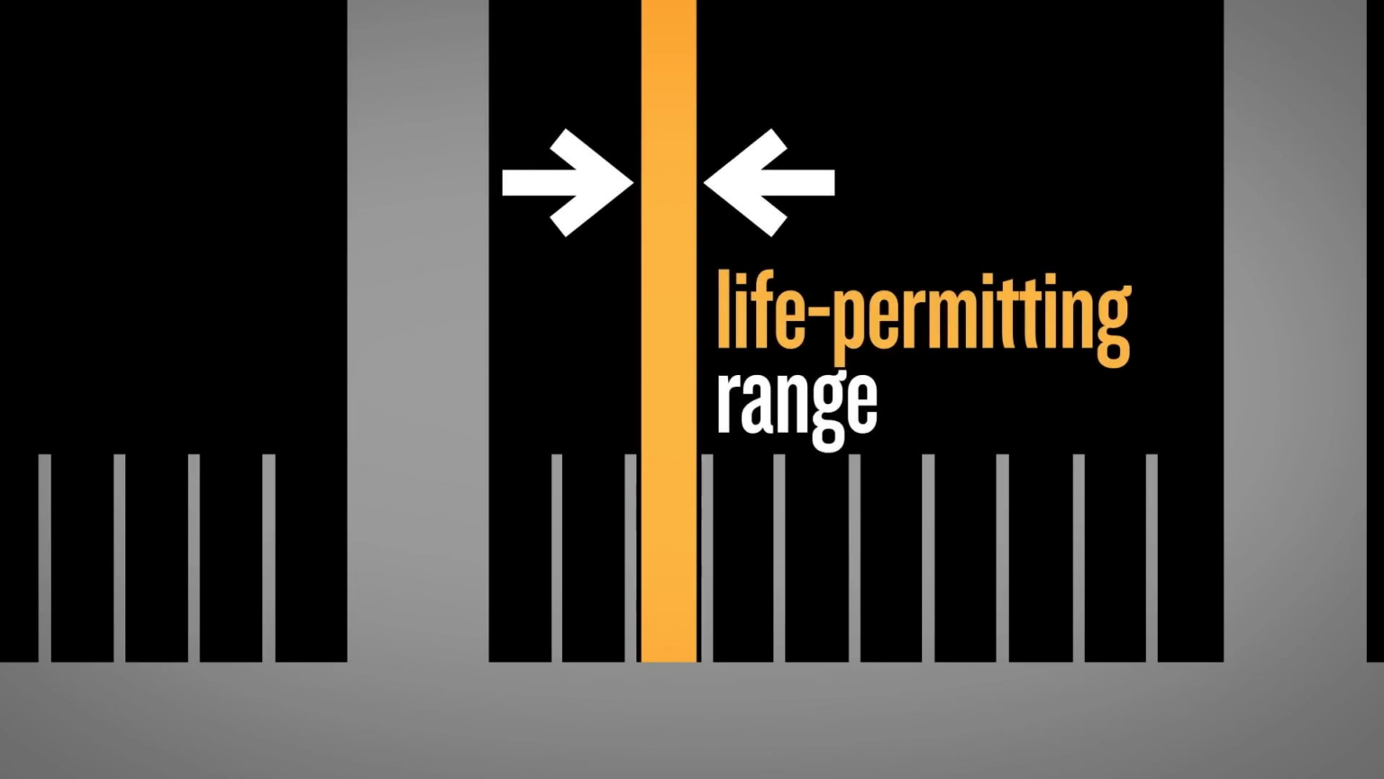 The Fine-Tuning of the Universe