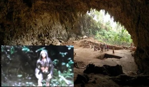 Anthropologist Believes Archaic Human Species May Be Alive on Indonesian Island