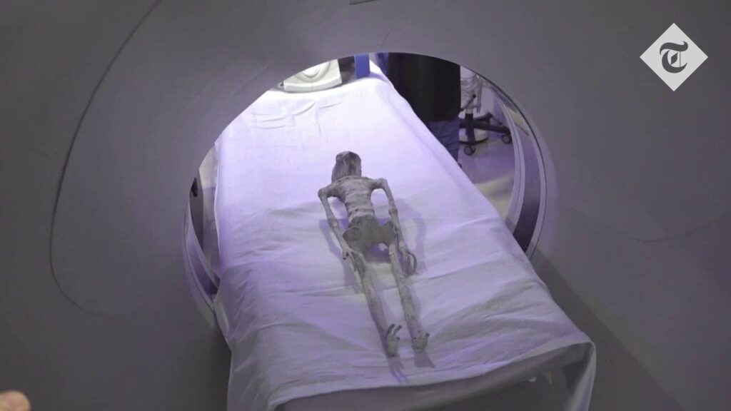 If you have any questions for a doctor who has been directly researching the nazca mummies for 7 years, you can have them answered