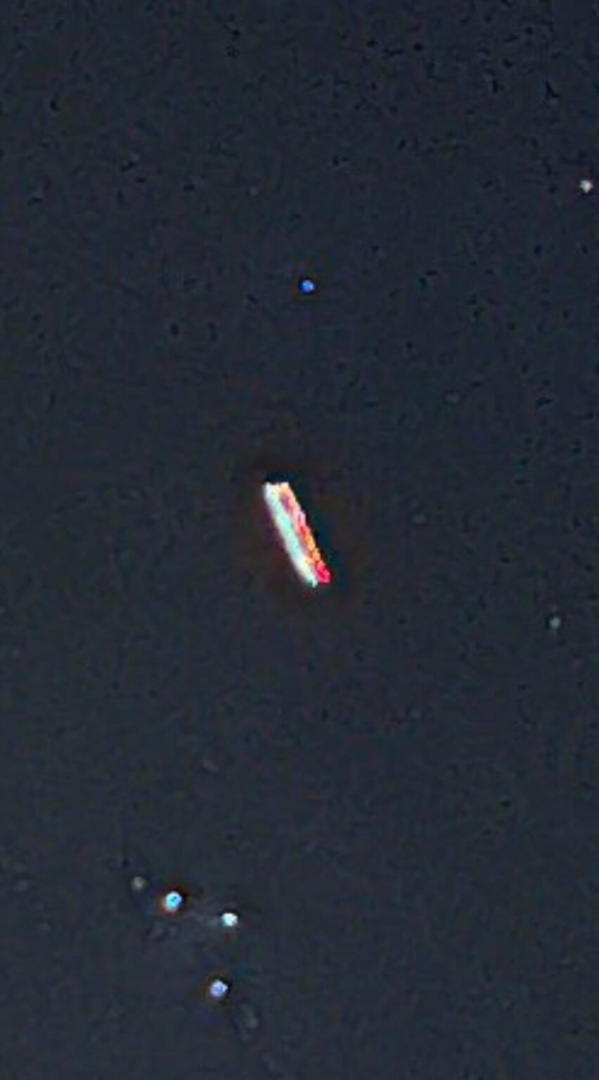 Space Hotdog, Photos From Joshua Tree National Park