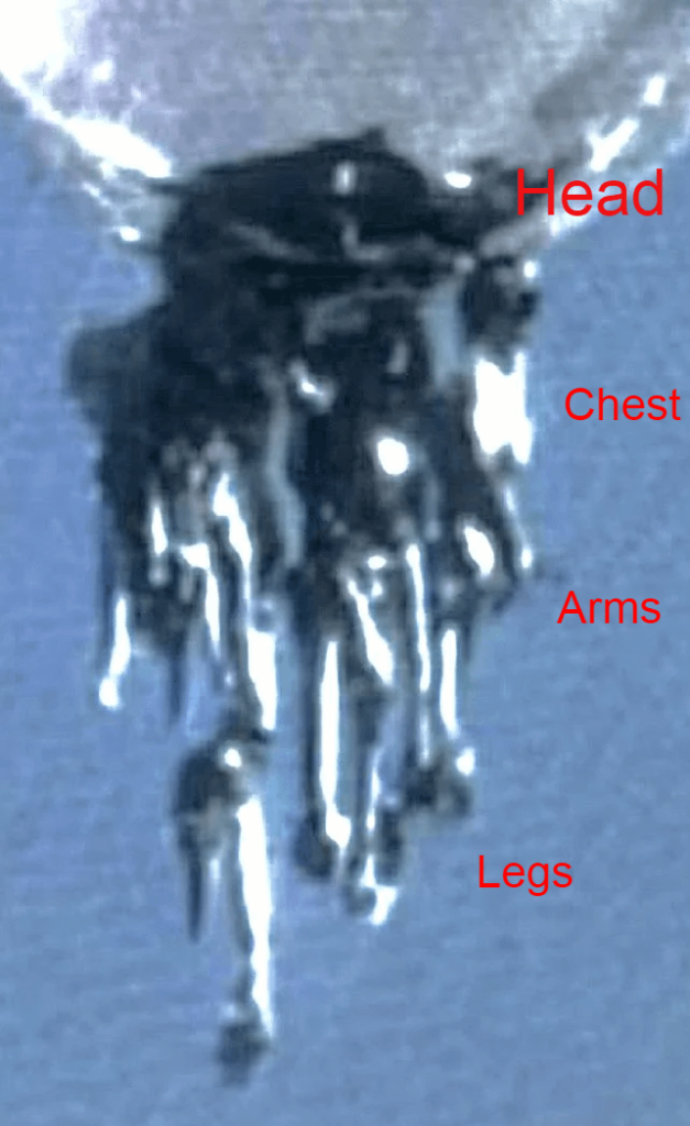 These look like mangled bodies from the battlefield. I can't unsee it.