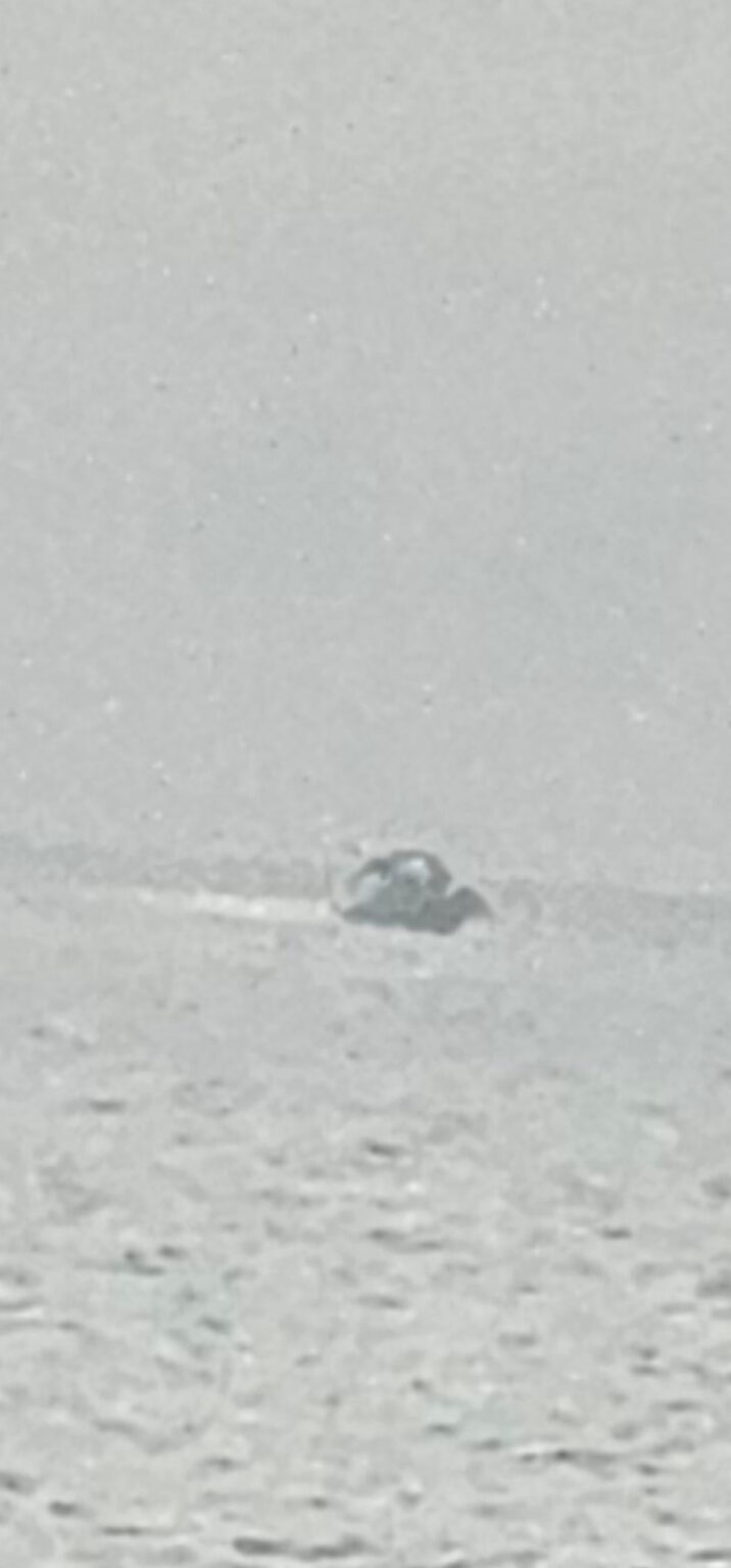 Unidentified object falling from sky.