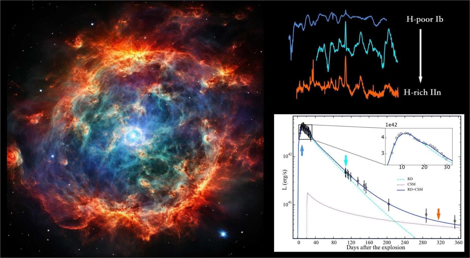A rare type of supernova: Researchers reveal its explosion mechanisms