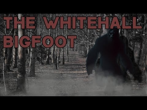 The Whitehall Bigfoot encounters