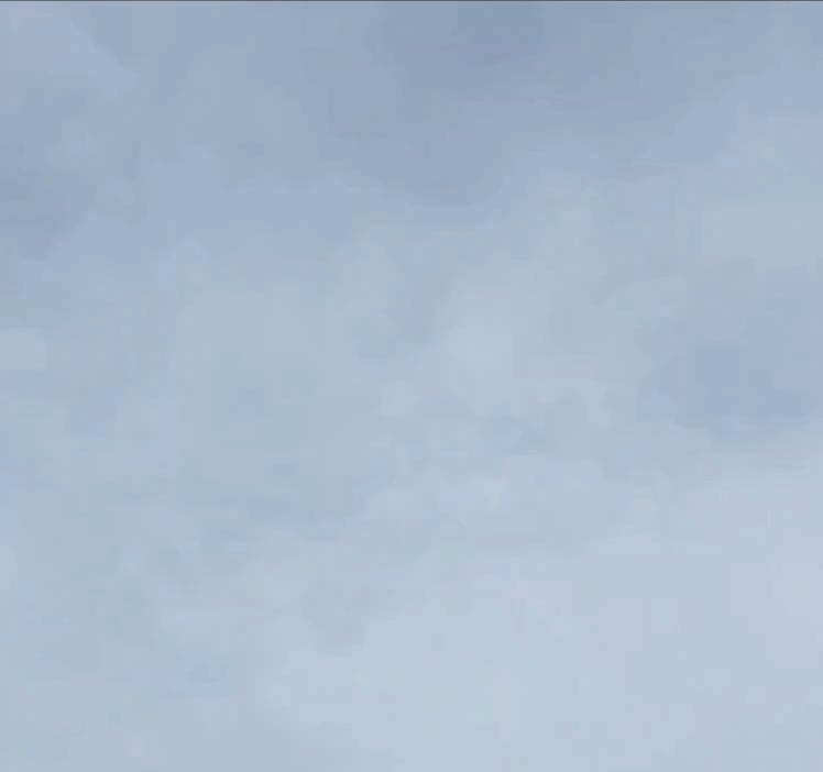 Two fast moving objects, bird for comparison