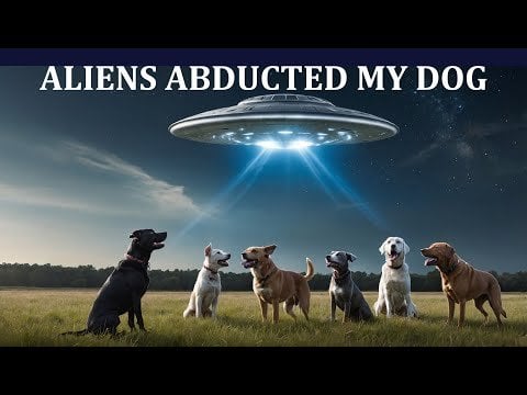 Aliens Abducted My Dog!