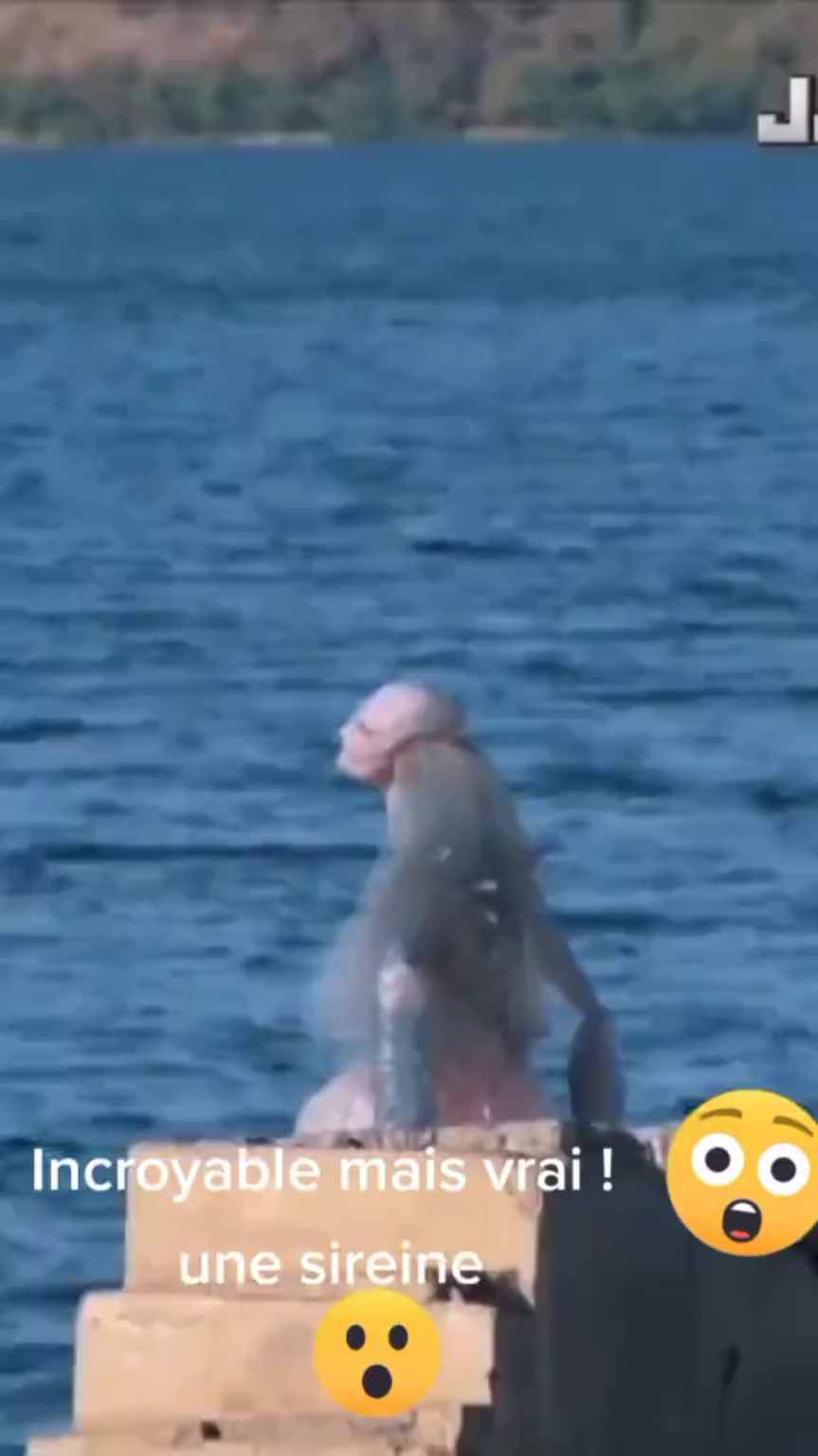 Real mermaid / siren caught on footage . Anyone have any explanation for this .?