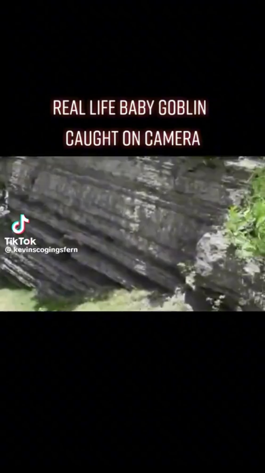 Goblin caught on camera in 2024 .Has anyone experience this and have any explanation.?
