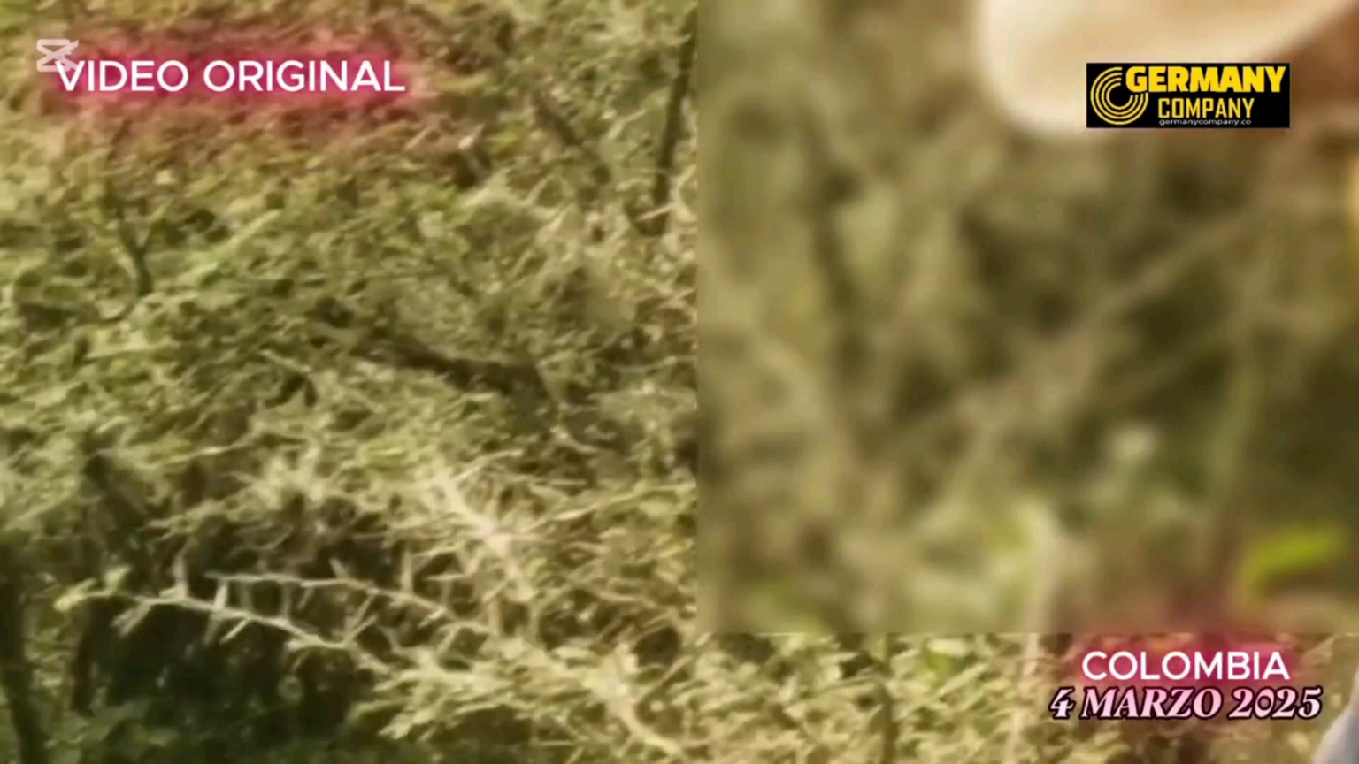 Spherical UFO recorded in Buga, Colombia Spherical UFO recorded in Buga, Colombia