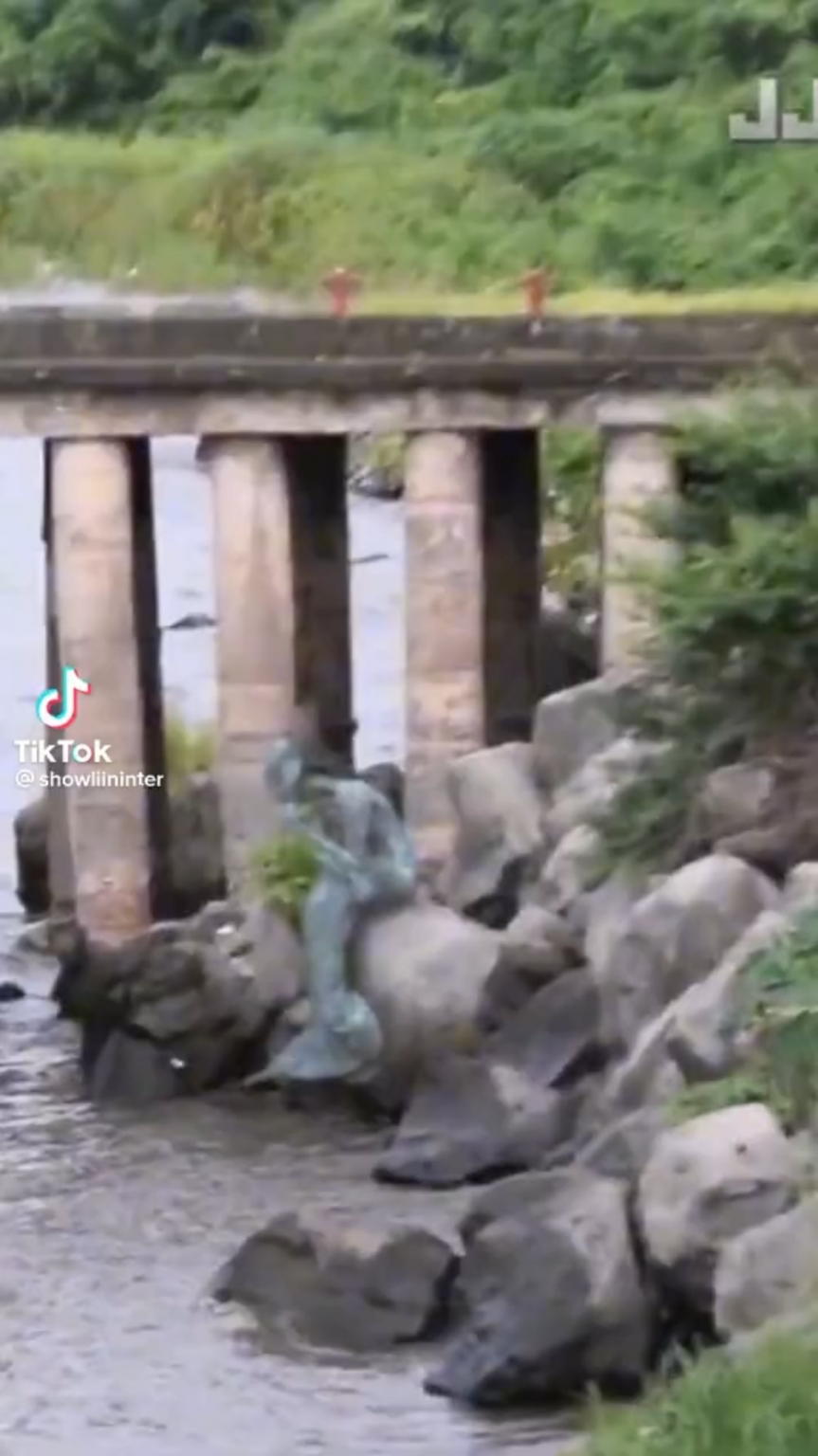 Real mermaid / siren caught on camera . Any explanation for this .?