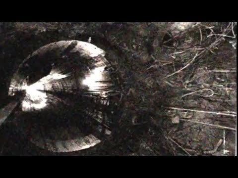 Dulce Base security guard Thomas Edwin Castello interview transcription