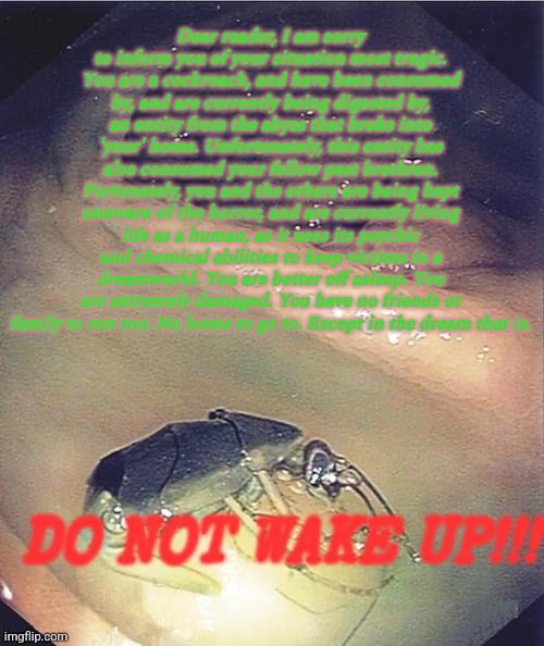 Girl rips her own eyes out after discovering that humanity is being digested by an eldrich entity/Robert Miller's Quantum Glasses.