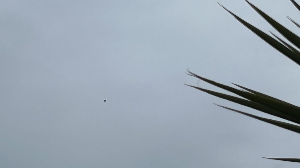 Strange donut shaped object floating erratically