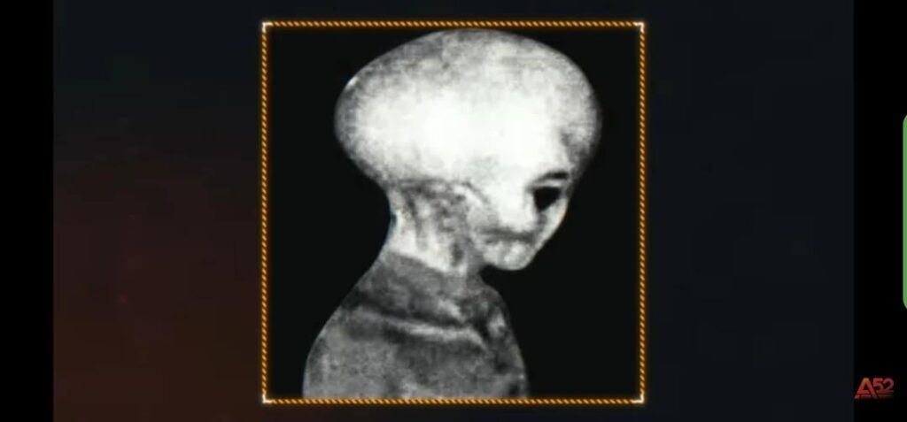Two Photos of an Alien Belonging to the Same Race as Skinny Bob.