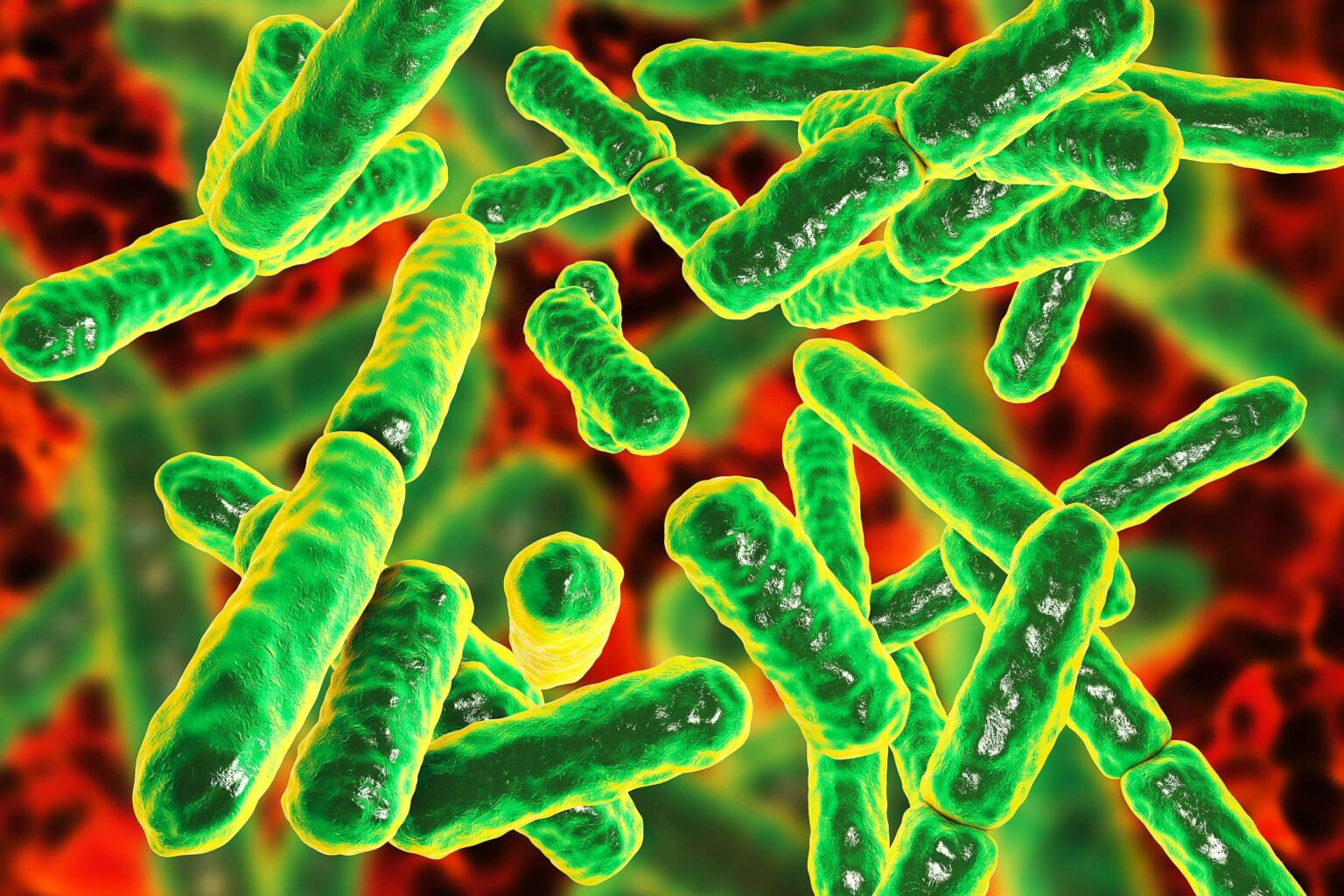 Bacteria on China's space station has never been seen by humans