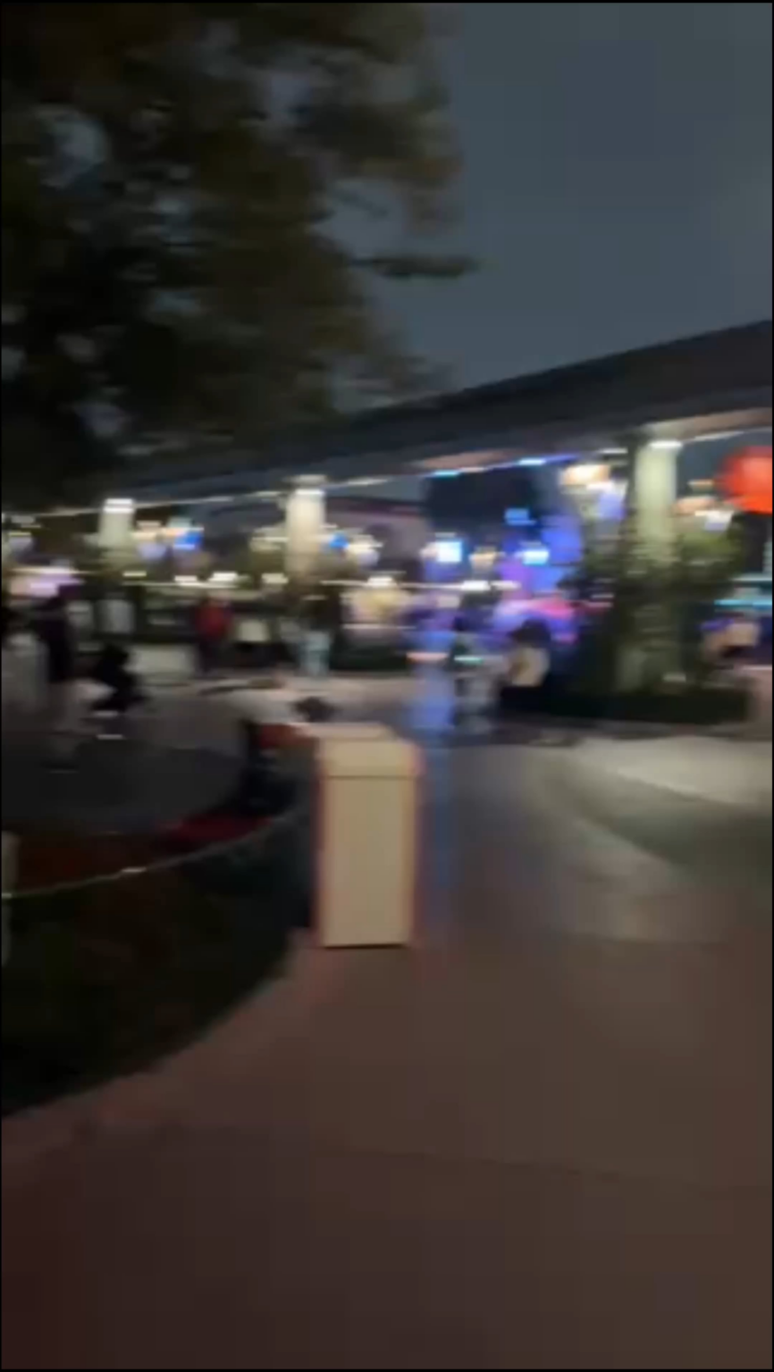 What is this Black Smoke Ring? I recorded it in Disneyland Yesterday